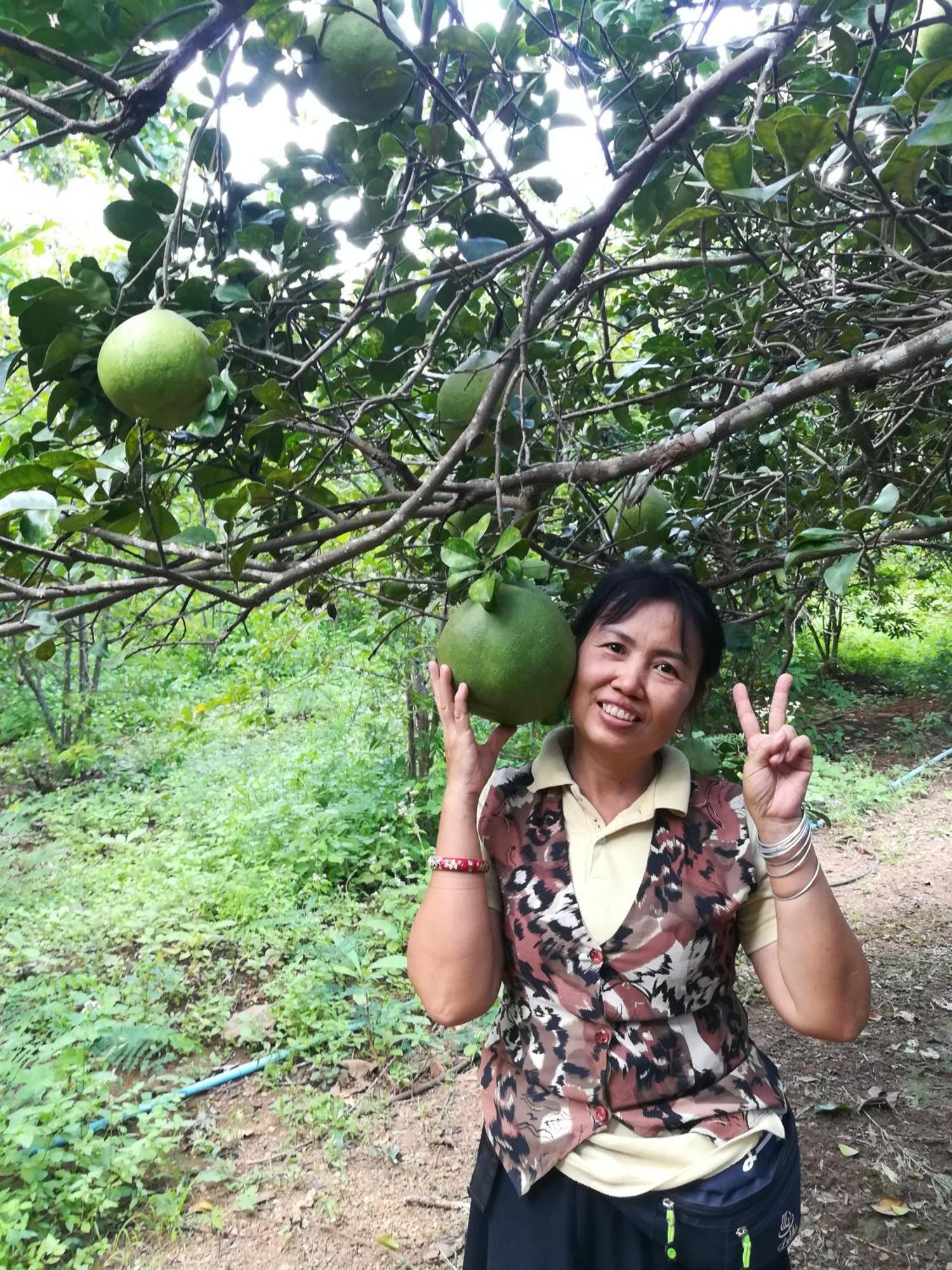 Star View Garden Villa Ban Huai Maenam Noi Dış mekan fotoğraf